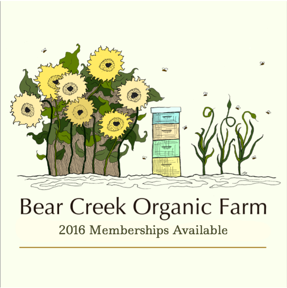 Bear Creek Loyalty Program 2016 - Details Inside!