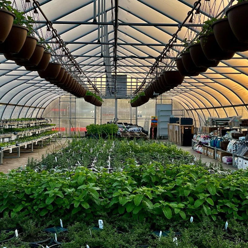 Greenhouses