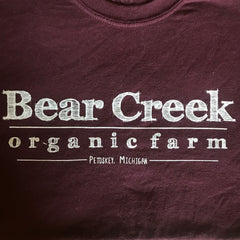 Bear Creek Youth T-Shirt - Short Sleeve