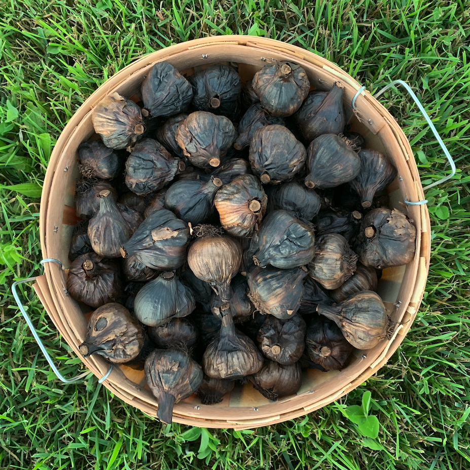 Organic Black Garlic